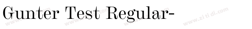 Gunter Test Regular字体转换